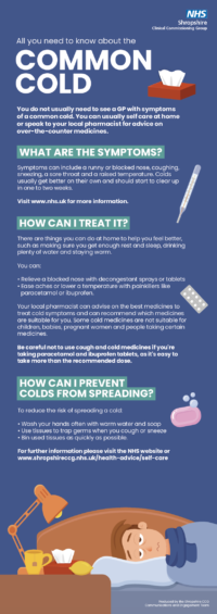 hints-and-tips-on-how-to-fight-the-common-cold-sath