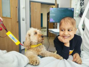 Ehaan with Lottie, a ‘Pets as Therapy’ dog 